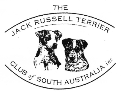 Jack Russell Terrier Club of SA Inc