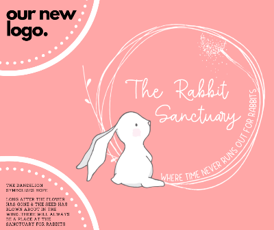 The Rabbit Sanctuary