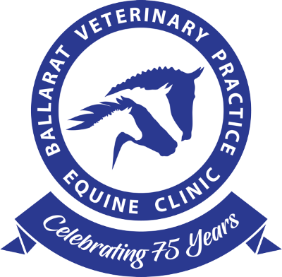 Ballarat Veterinary Practice Equine Clinic