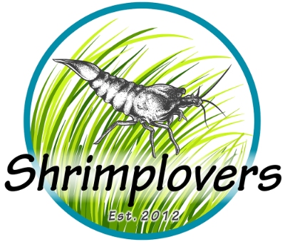 Shrimplovers