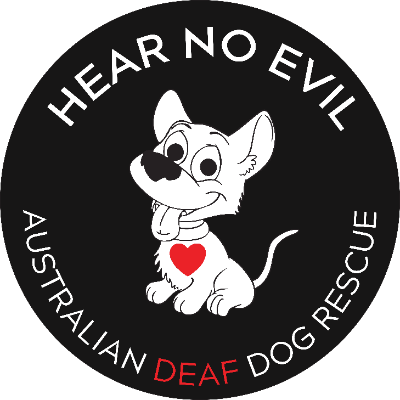 Pet Business Hear No Evil - Australian Deaf Dog Rescue in Peregian Springs 