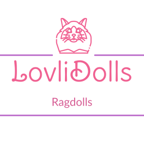 LOVLIDOLLS RAGDOLLS Company Logo by Lovlidolls Ragdolls in Shellharbour NSW