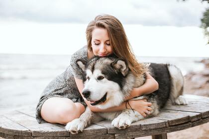 3 x Healing Package For Pet Parent (In-Person Session / Up To 15km From Ryde)