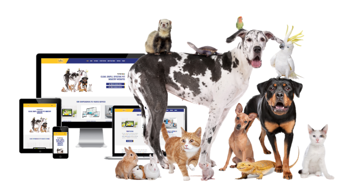 Website design services for pet businesses