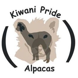 Kiwani Pride Alpacas