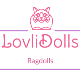 Lovlidolls Ragdolls