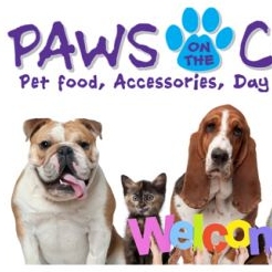Pet Business Paws On The Coast in Umina Beach NSW